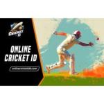 Online Cricket ID: Create an instant online cricket ID using WhatsApp