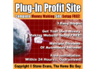 Online Business, Automatically Built!