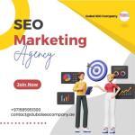 Trusted SEO Agency Dubai for Business Growth