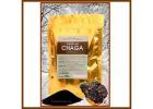 Wholesale Freeze-Dried Chaga Extract - Direct from Siberia