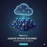 Revolutionize Your Enterprise with Custom Cloud ERP Solutions & Development